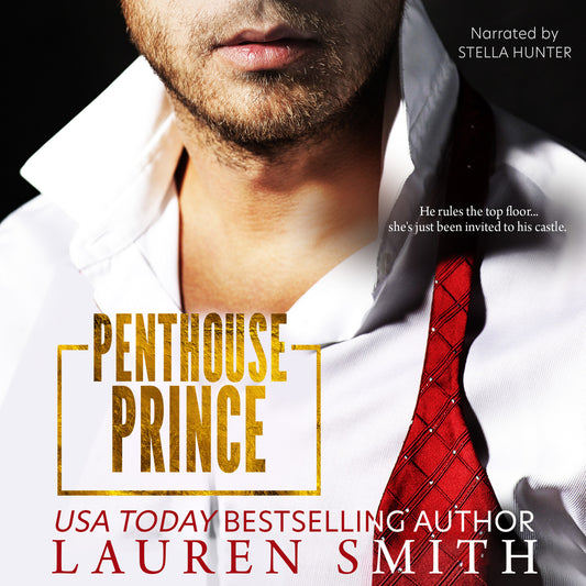 Penthouse Prince (Audiobook)